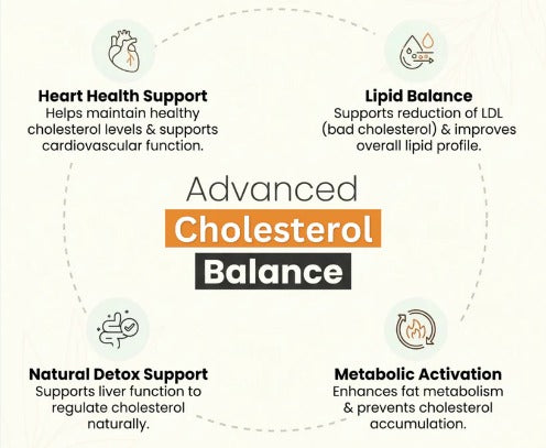 Nuttiza.pk Cholesterol Care Tea