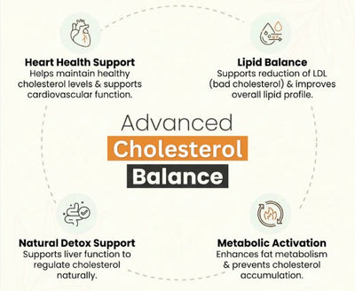 Nuttiza.pk Cholesterol Care Tea