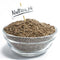 Alsi Beech (Flax Seeds)