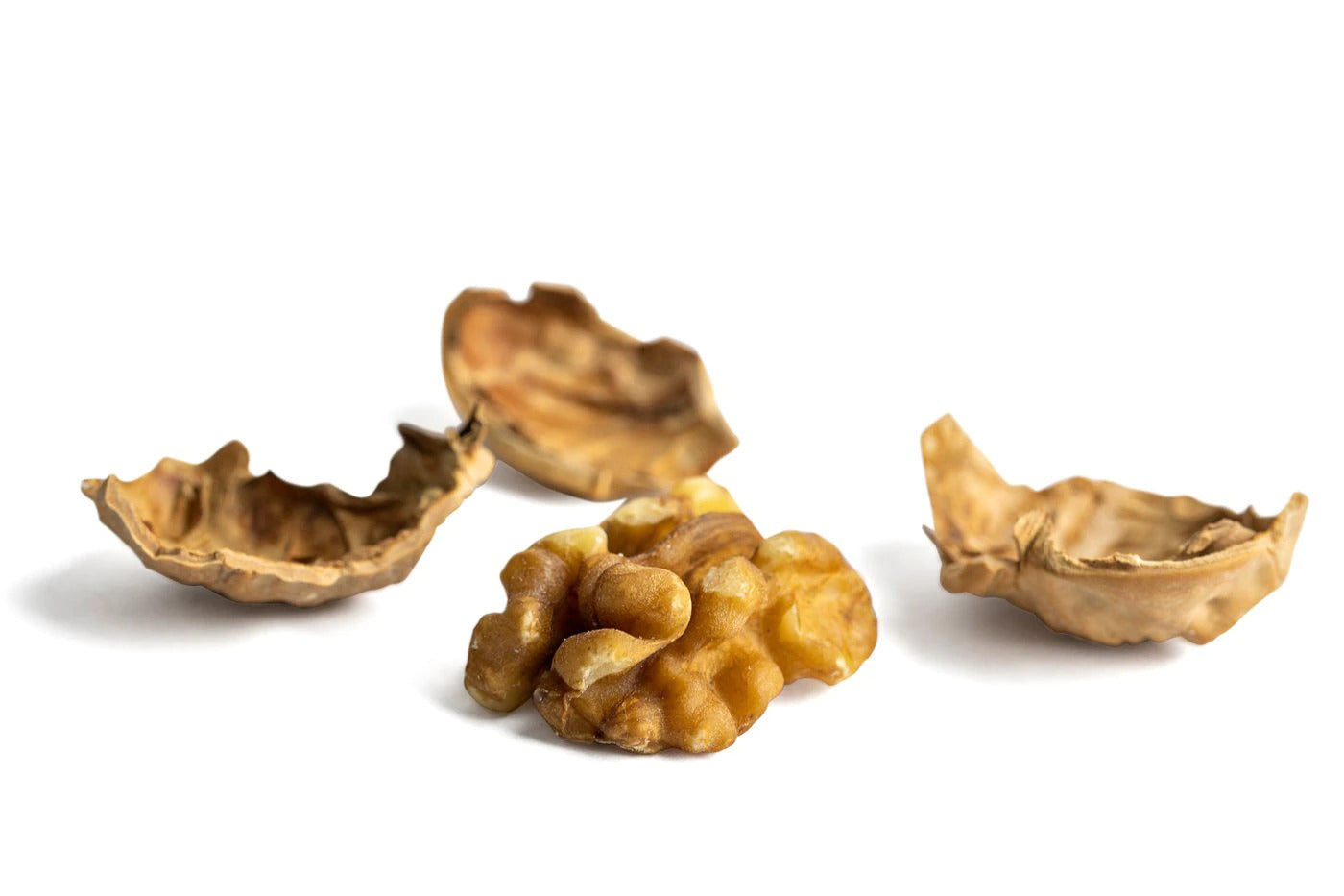 Kaghzi Akhrot (Paper shell American Walnuts, In shell)